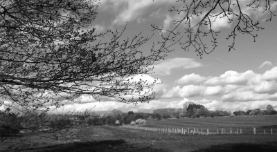 la gaume au printemps-1-noir et blanc.jpg